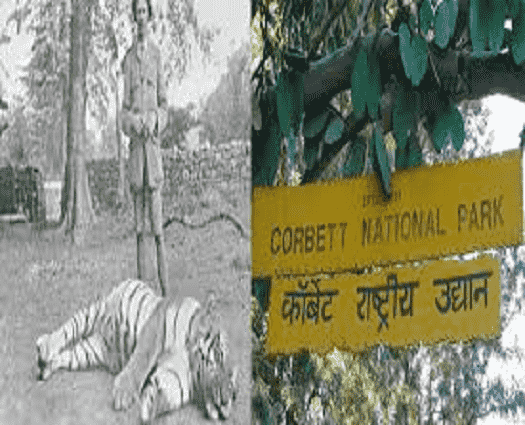 Jim Corbett National Park-min