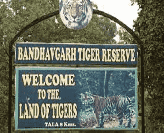 Bandhavgarh National Park-min