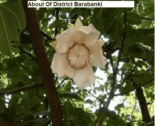 Barabanki-min