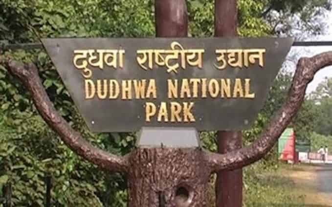 Dudhwa National Park -min